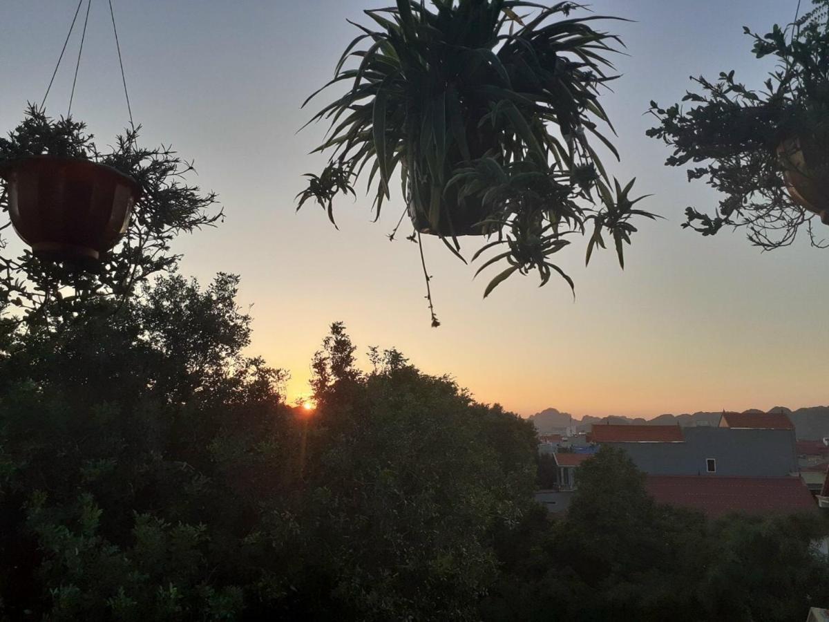 Tam Coc Sunset Homestay 宁平 外观 照片